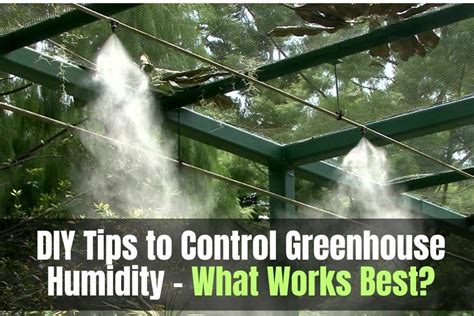 Diy Tips To Control Greenhouse Humidity What Works Best