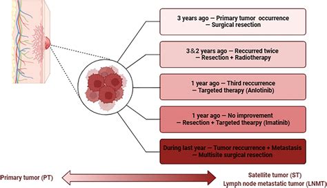 Diagram illustrating the course of disease advancement and the ...