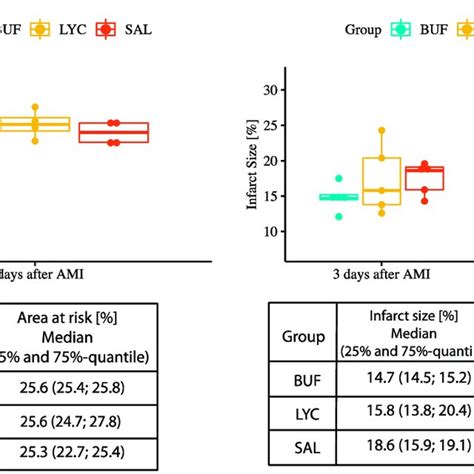 Area At Risk 3 Days After Ami And Infarct Size 3 Days And 2 Months