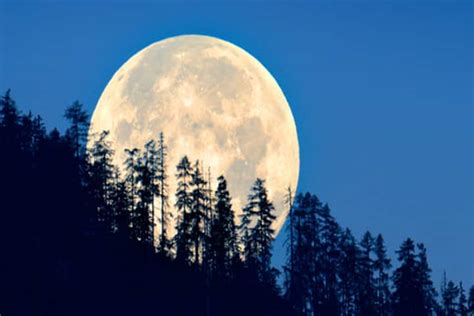 Supermoons And Blue Moon To Light Up August Skies