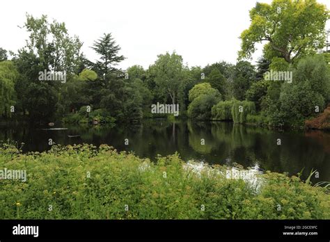 Buckingham Palace & Garden Stock Photo - Alamy