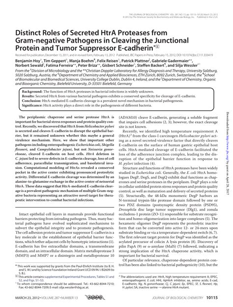 PDF Distinct Roles Of Secreted HtrA Proteases From Gram Negative