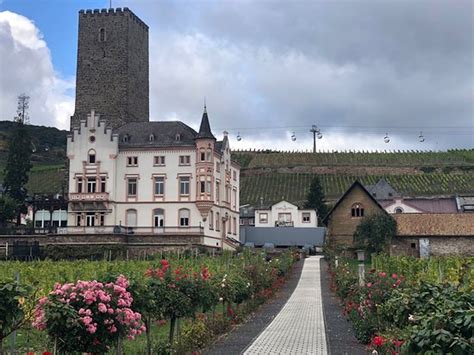 Rheingau Wine Museum Broemserburg Castle Ruedesheim Am Rhein Lo Que Se Debe Saber Antes De