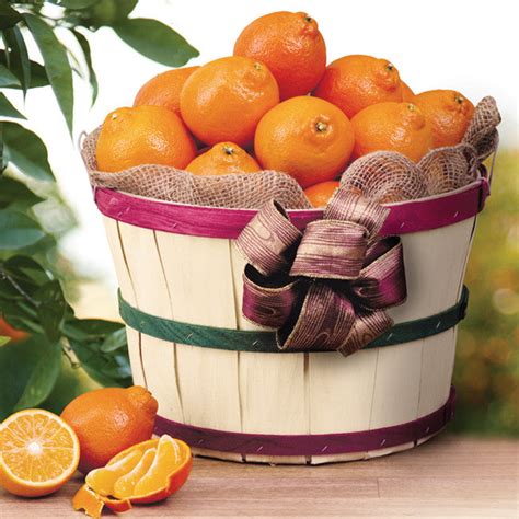 Florida Honeybells Grove Basket Citrus Fruit Gift - Hyatt Fruit Company