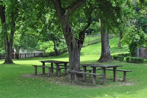 Premium Photo Empty Bench In Park