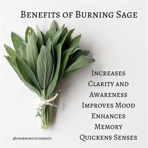 Benefits Of Burning Sage In 2020 Benefits Of Burning Sage Sage