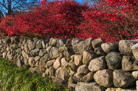 8 Types of Landscaping Rocks and How to Choose One