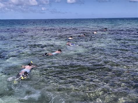 Belize Snorkeling Tours | Tobacco Caye Snorkel Adventures