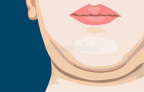 Chin Stock Illustrations 11224 Chin Stock Illustrations Vectors