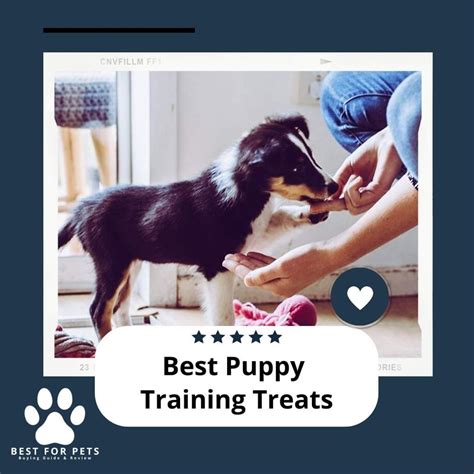 The 12 Best Puppy Training Treats