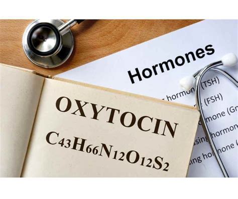 Balancing Hormones Understanding The Hormonal Hierarchy — Denver