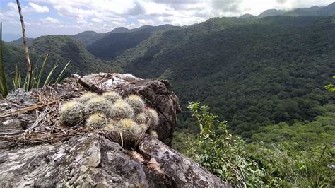 Ciudad Victoria Tamaulipas On Twitter Mirador Del Valle Del Ovni