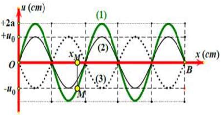 Solved S Ng D Ng H Nh Th Nh Tr N M T S I D Y N H I Ob V I U Ph N