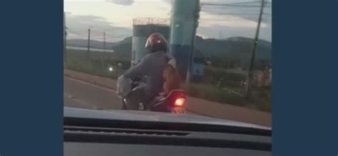 Motociclista leva cachorro sentado na garupa em Parauapebas no Pará