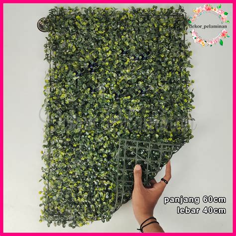 Jual Cod Rumput Daun Sintetis Dollar X Cm Oxylia Artificial