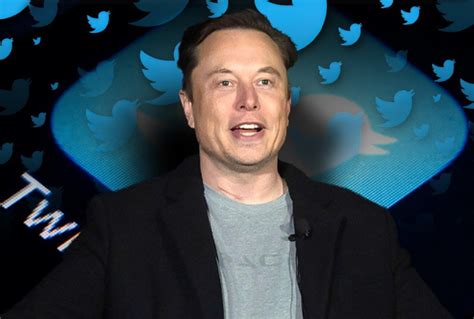 Did Elon Musk Buy Abc Know The Truth Behind It