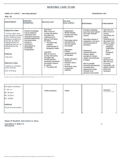 Understanding The Process A Nursing Care Plan For A Client With Hiv Pdf Nursing Patient