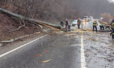 Aten Ie Oferi Trafic Blocat Pe Dn La Sinaia Un Copac A Fost