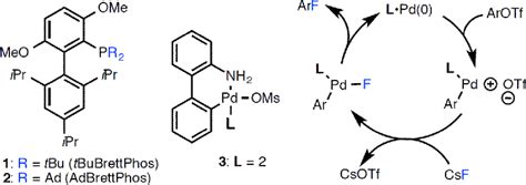 Figure From An Improved Catalyst System For The Pd Catalyzed