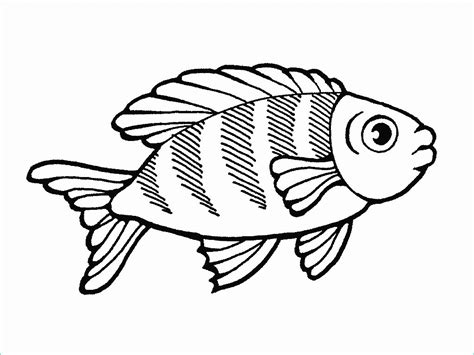 Poisson A Colorier Bestof Photos Dessins De Coloriage Poisson