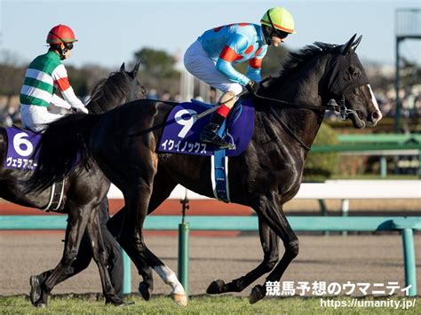 シルク・ホースクラブが2歳馬の馬名を発表 イクイノックス半妹はガルサブランカに｜競馬ニュース｜競馬予想のウマニティ