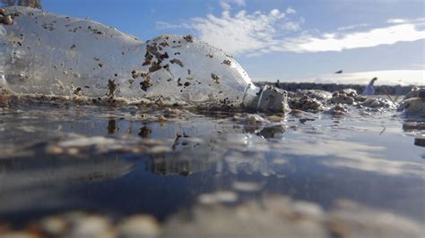 Nouveau Record De La Pollution Plastique Des Océans Selon Une étude