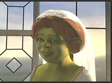 Fiona Ogress Bride Princess Fiona Fiona Shrek Lilly Pulitzer Outfits