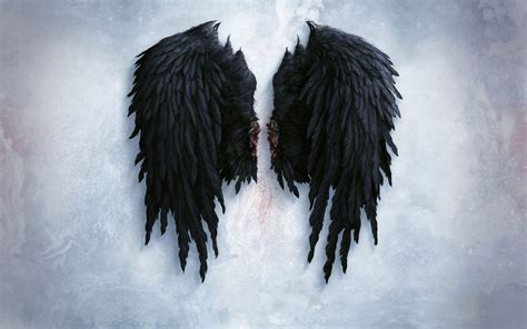 Black Wings Wallpapers Wallpaper Cave