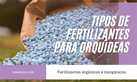 Fertilizantes Para Orquídeas Conoce a Los Mejores