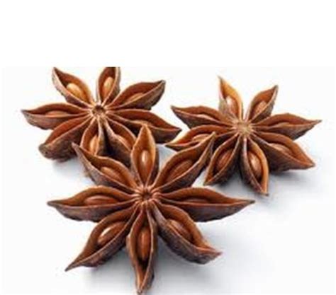 Organic Star Anise 20g Mad Wholefoods