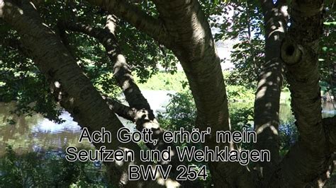 Ach Gott erhör mein Seufzen und Wehklagen BWV 254 YouTube