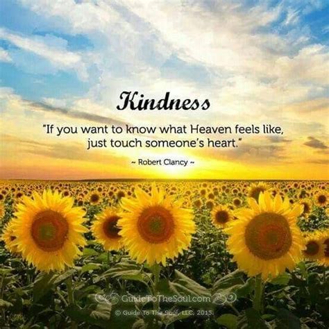 Pin By Catherine Hendrickson Jenkins On Kindness Sunflower Quotes