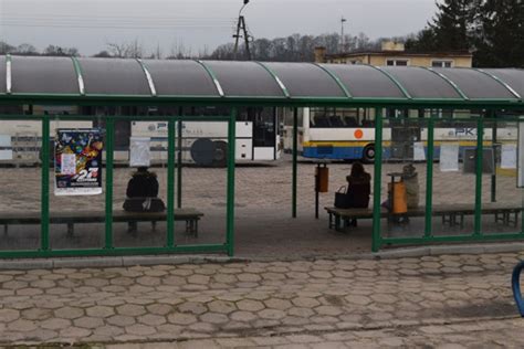 Przewozy Autobusowe W Gminie Koronowo Samorz D Otrzyma Dofinansowanie