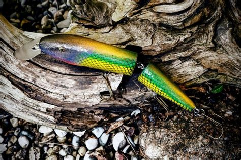 The Best Musky Lures For Catching Fish Thexbest