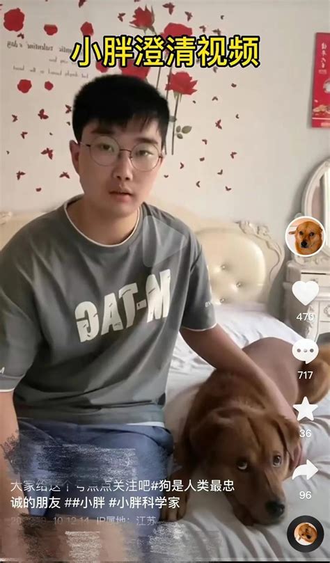 Is The Internet Celebrity Dog Xiaopang Unfortunate Or Is There Another