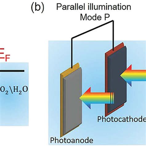 A Working Principle Of A Pec Cell For Overall Water Splitting Based