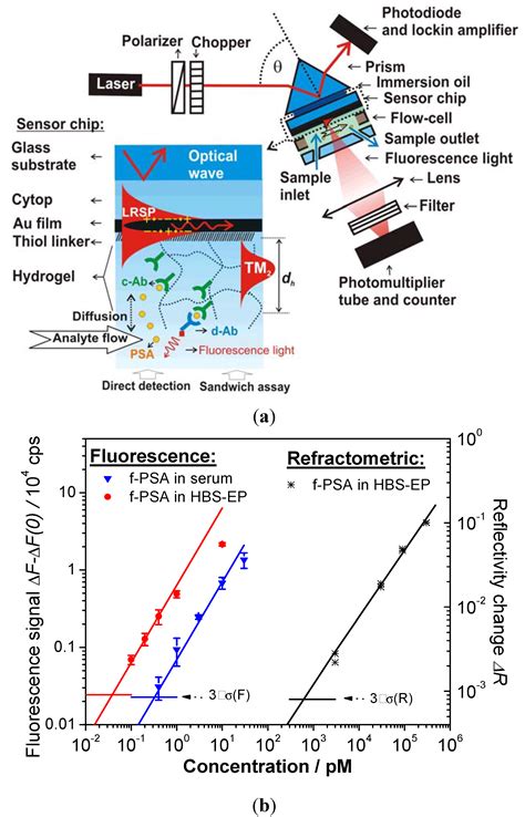 Membranes Free Full Text Thin Hydrogel Films For Optical Biosensor