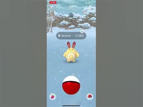 Pokémon Go Shiny Sentret - YouTube