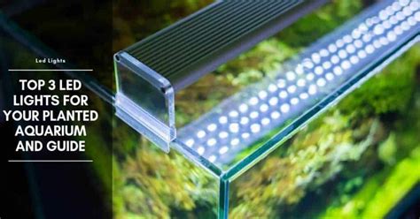 Top 3 LED Lights for Your Planted Aquarium And Guide - The Aquarium Adviser