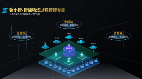 厦门日报丨农信集团ai总部 农芯数科 “智慧养猪”试水者农业资讯 农信网