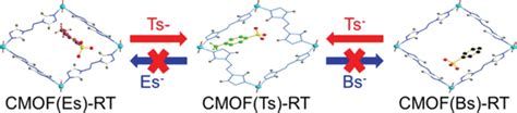 Schematic Representation Of The Anionexchange Reaction Of CMOF Es RT