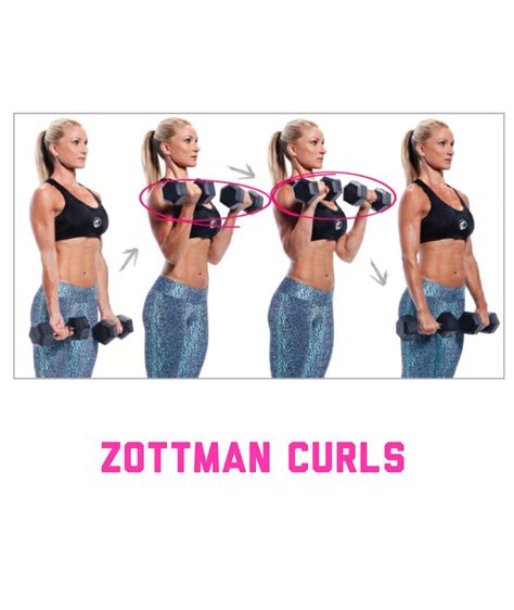 10 Biceps Curl Variations For Big Arms And Healthy Shoulders – DMoose ...