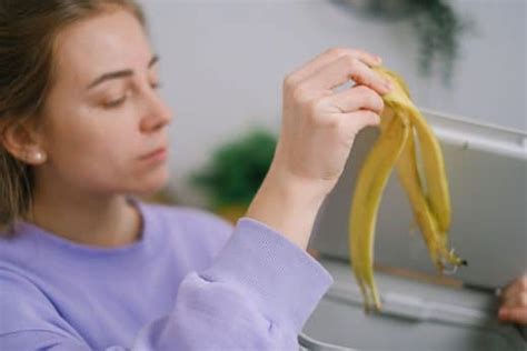 Vous Jetez Vos Peaux De Bananes Vous Ne Le Ferez Plus Jamais En