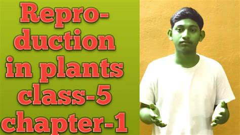 Reproduction In Plants Class 5 Chapter 1 National English Academy Youtube