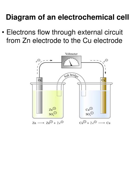 Electrochemical Cell Electron Flow