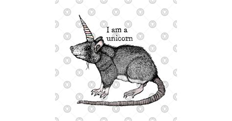 Unicorn Rat Unicorn T Shirt Teepublic