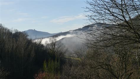 Wandern Pfälzer Rundwanderung mit Einkehr Dernbacher Haus Tour 113815