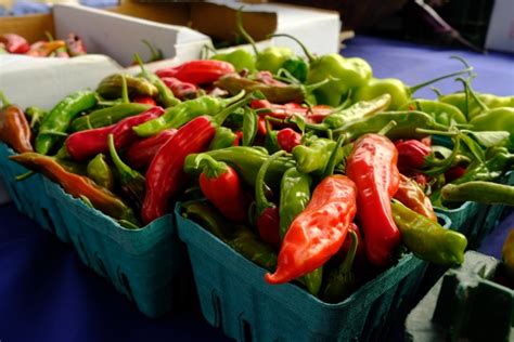 Cuáles son los tipos de sabores dulce salado amargo ácido y umami