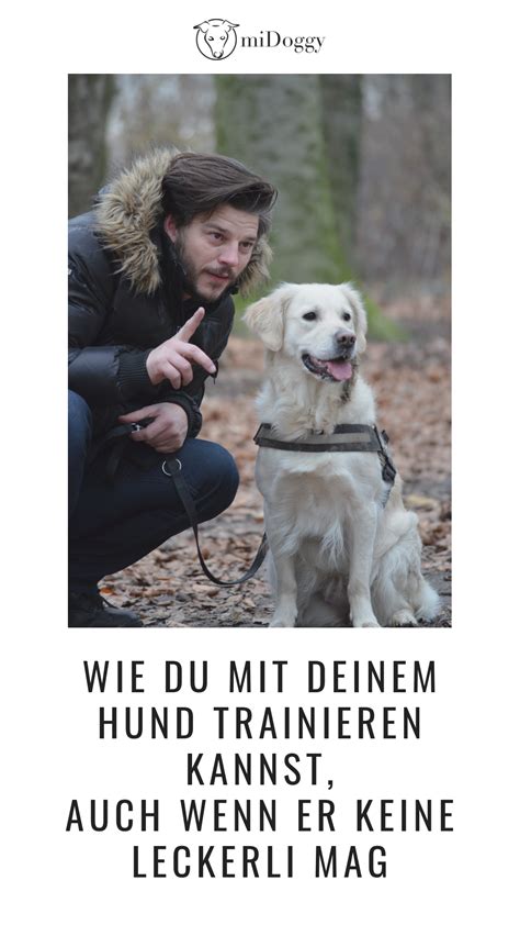 Hund Training Hundetraining Leckerei Belohnung Tipps Ideen Tricks