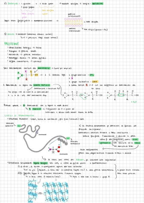 Solution Appunti Biologia Per Test Medicina Macromolecole Citologia